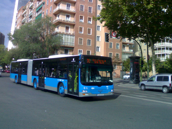 bus