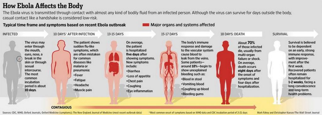 Cómo evoluciona el Ebola