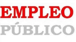 empleo_publico